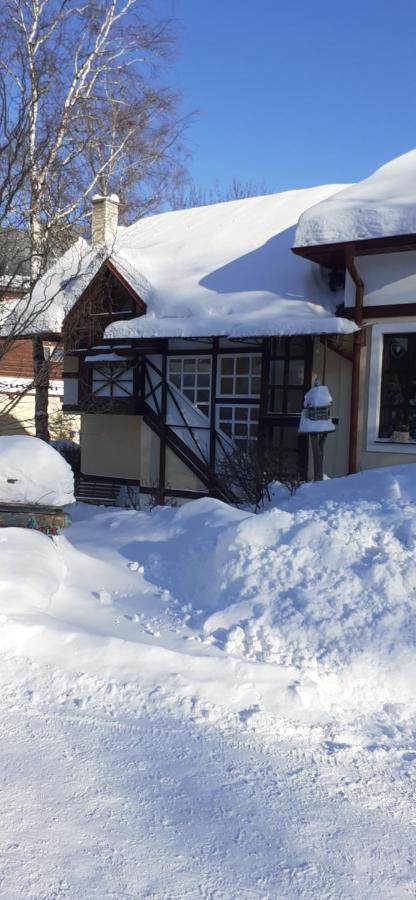 Apartament Domcek Tatrzańska Łomnica Zewnętrze zdjęcie